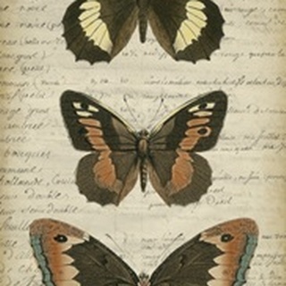 Butterfly Script I