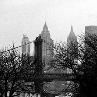 Bridges of NYC V