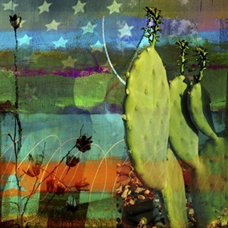 Cactus and Flag Collage