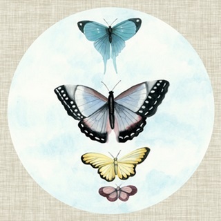 Butterfly Daydream II