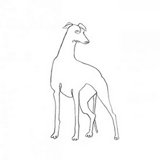 Greyhound Pencil Sketch I