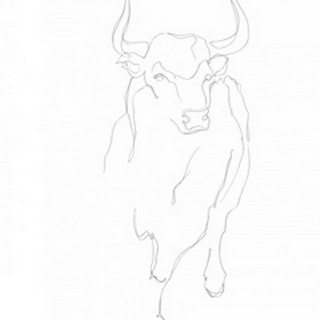 Bull Contour I