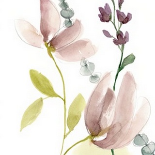 Pastel Flower Composition II
