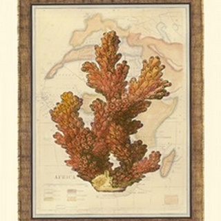 Exotic Map with Coral III