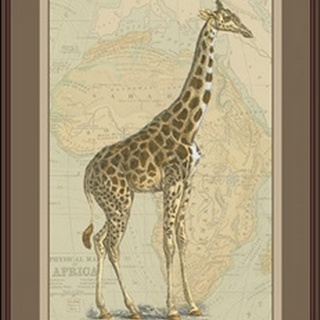Giraffe with Border II