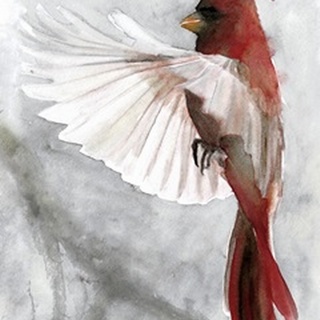 Cardinals II