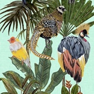Birds Paradise Collection B
