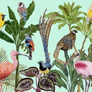 Birds Paradise Collection A