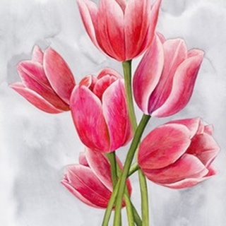 Tulip Tangle I