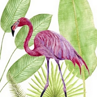 Tropical Flamingo I