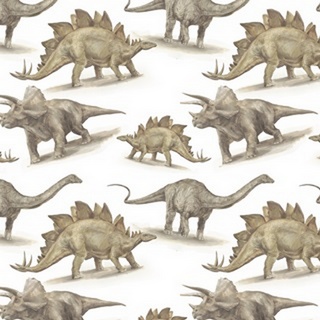 Dinosaur Illustration Collection I