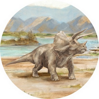 Dinosaur Illustration Collection C