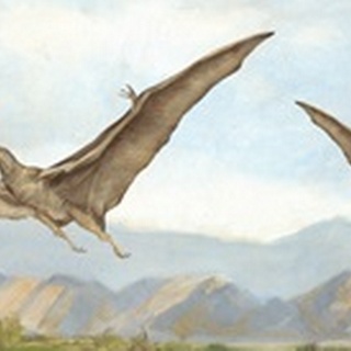 Dinosaur Illustration Collection D