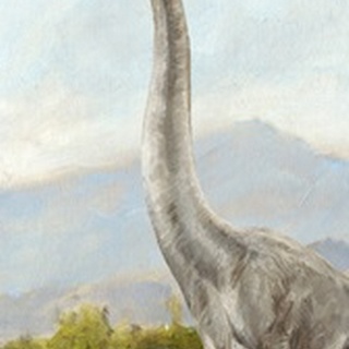 Dinosaur Illustration Collection B
