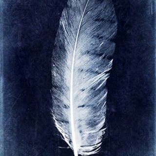 Inverted Feather VI