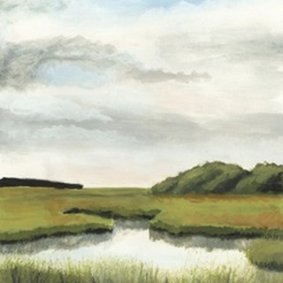 Marsh Landscapes II