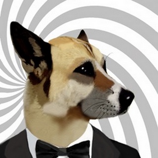 Debonair James Bond Dog