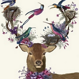 Deer Birdkeeper, Tropical Bird Nests