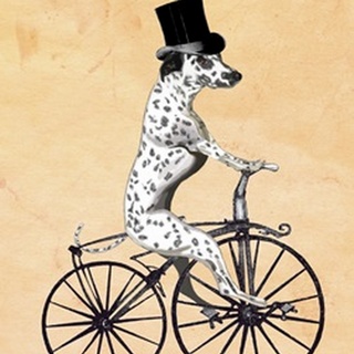 Dalmatian On Bicycle
