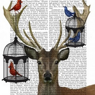 Deer and Bird Cages