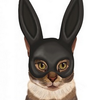 Cat with Bunny Mask