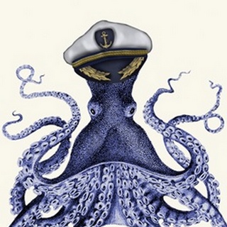 Captain Octopus