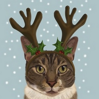 Calico Cat and Antlers