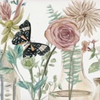 Butterflies & Flowers Collection D