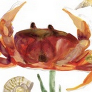 Crab Cameo Collection D