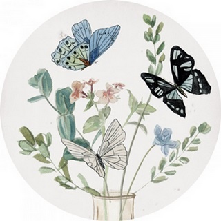 Butterflies & Flowers Collection C
