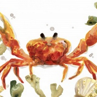 Crab Cameo Collection A