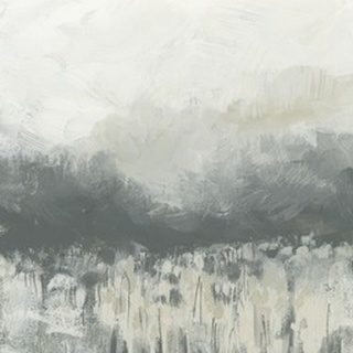 Gray Mist Meadow I