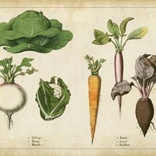 Kitchen Vegetables and Roots I