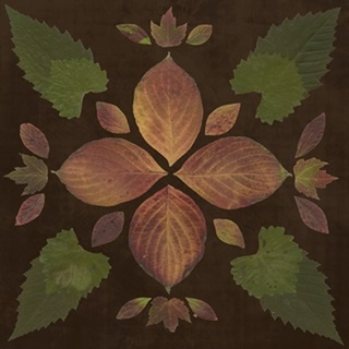 Kaleidoscope Leaves III