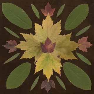 Kaleidoscope Leaves IV