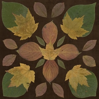 Kaleidoscope Leaves II