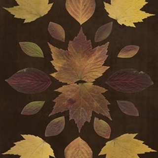 Kaleidoscope Leaves VI