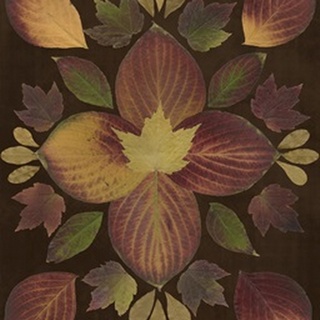 Kaleidoscope Leaves V