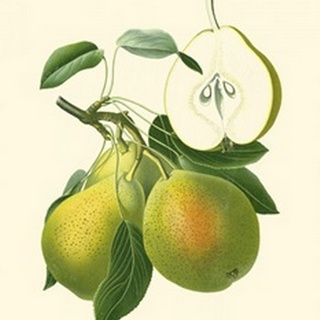 Antique Green Pear