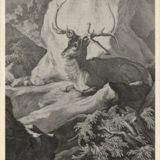 Woodland Deer VIII
