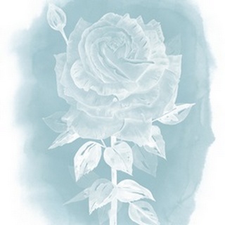 Ghost Rose II