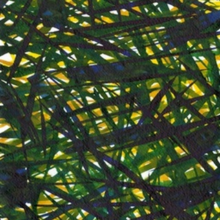 Green Thicket II