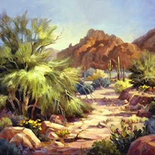 Desert Beauty
