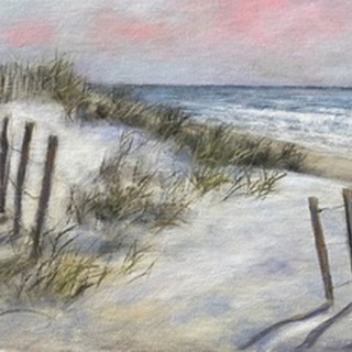 The Beach Fence II