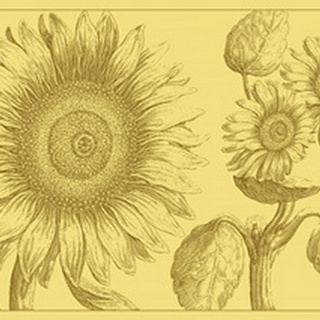 Golden Sunflowers II