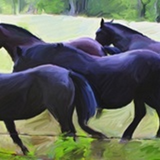 Guilford Horses II