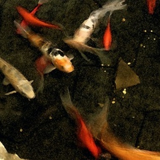 Goldfish Pond II