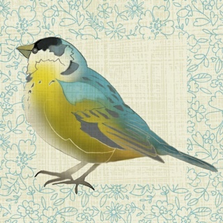 Graphic Bird Collection E