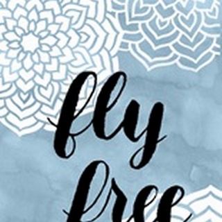 Fly Free Collection B