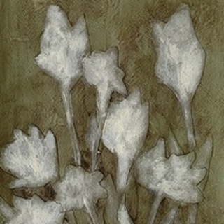 Ghost Flowers I